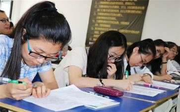 2024年小学培优补差工作计划6篇