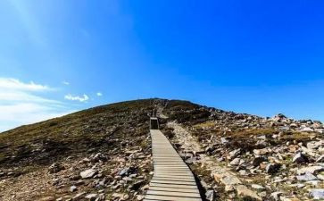 成功不易的作文6篇