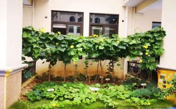 湘菜商务活动方案策划8篇