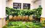 爷爷做的菜作文优秀8篇