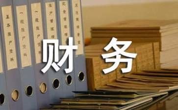 财务年度个人总结推荐7篇