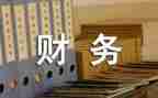 财务年度个人总结推荐7篇