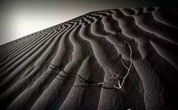 藏与露话题作文6篇