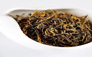茶经心得体会300字优秀6篇