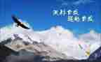 超越再超越作文7篇
