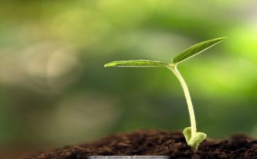 我在成长作文最新7篇
