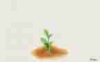 我在成长作文5篇
