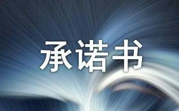 质量售后服务承诺书6篇