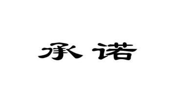 责任安全承诺书模板8篇