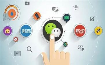 新程序员工作心得体会5篇