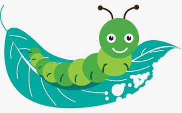虫儿歌教案6篇