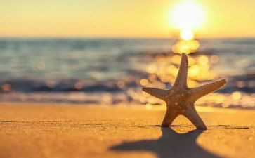 充实作文600字5篇