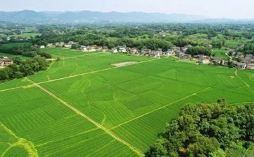 川农毕业自我鉴定范文参考6篇