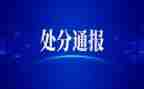 处分心得体会8篇