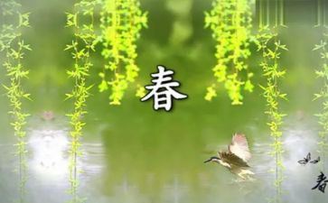 春节英文小作文优质8篇
