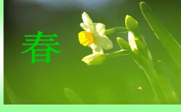 奋斗青春类作文优质6篇