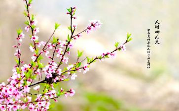 春节游戏活动方案策划6篇