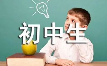 初一政治工作总结7篇