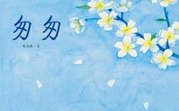 匆匆的读后感模板8篇