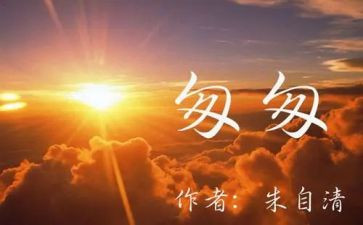 匆匆的读后感300字8篇
