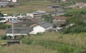 2024年村主任总结报告6篇