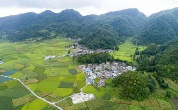 农村设施调研报告5篇