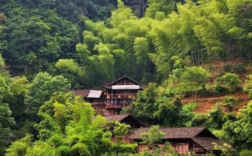 参观村幼儿园的心得体会7篇