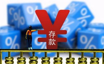2024年存款保险宣传总结精选8篇