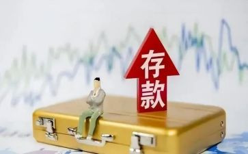 2024年存款保险宣传总结5篇