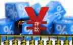 2024年存款保险宣传总结精选8篇