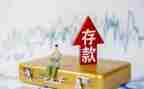2024年存款保险宣传总结5篇