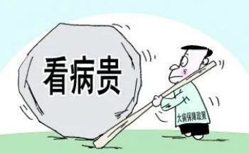 重大病救助申请书精选8篇