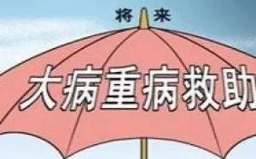 大病救助的申请书范文5篇