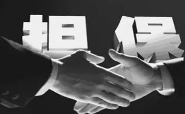 纳税担保合同6篇