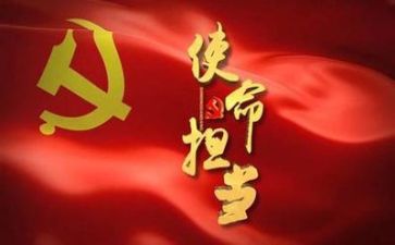 党统工作总结报告精选6篇