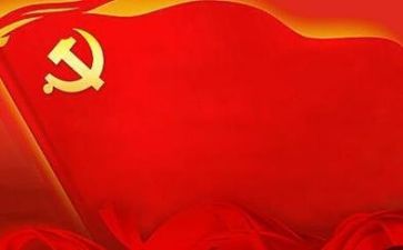 党会心得体会100字8篇