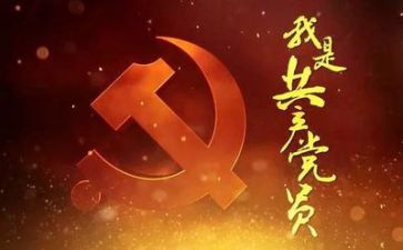 党统工作总结报告优秀8篇