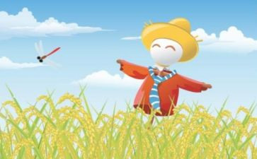 小学作文稻草人读后感8篇
