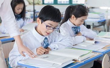 双导师工作总结6篇
