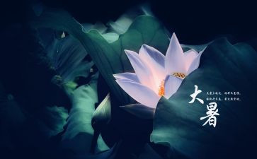 大暑教案7篇