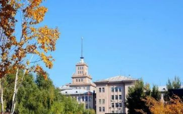 大学感想心得体会范文8篇