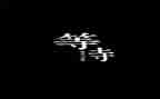 等待的作文参考8篇