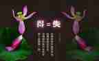 初二得与失的作文模板8篇