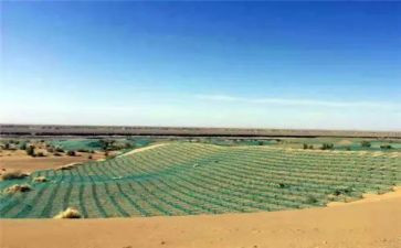 关与保护地球的演讲稿参考6篇