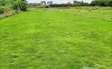 房地产周工作总结通用8篇