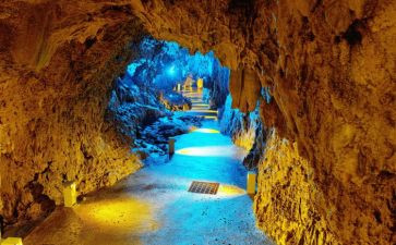 《洞》的读后感200字6篇