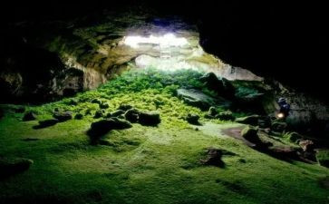 《洞》的读后感200字优秀6篇