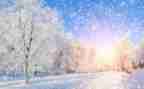 冬天写景作文5篇
