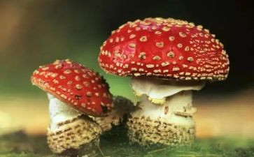 禁毒月宣传活动总结精选6篇