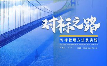 对标检查自查报告6篇